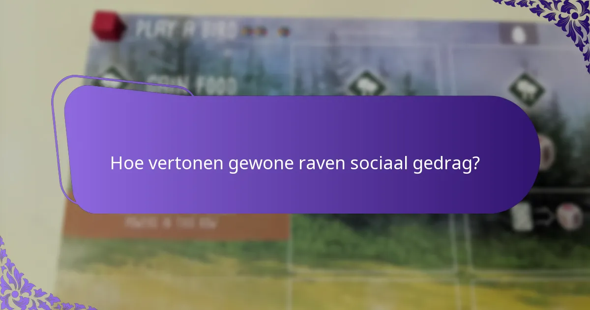 Hoe vertonen gewone raven sociaal gedrag?