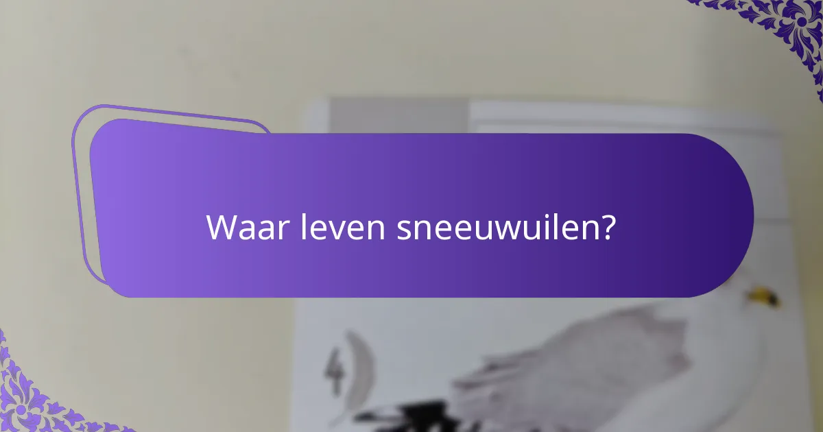 Wat eten sneeuwuilen?