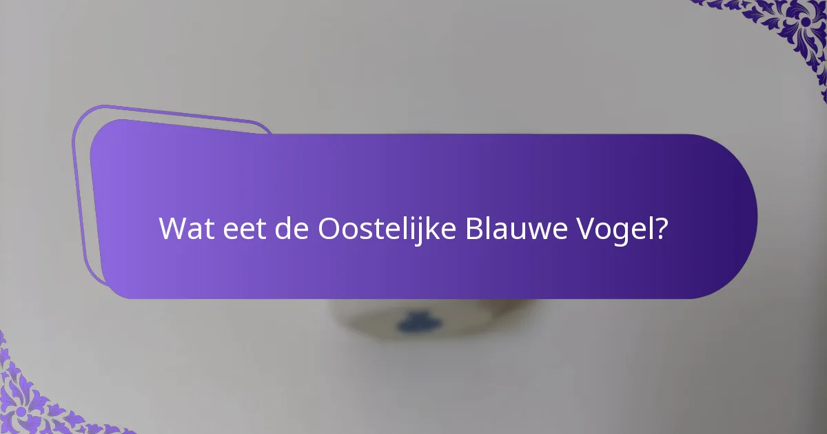 Wat eet de Oostelijke Blauwe Vogel?
