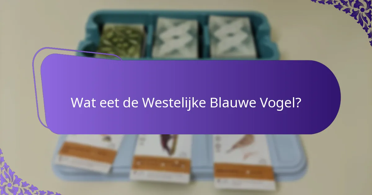 Hoe broeden Westelijke Blauwe Vogels?