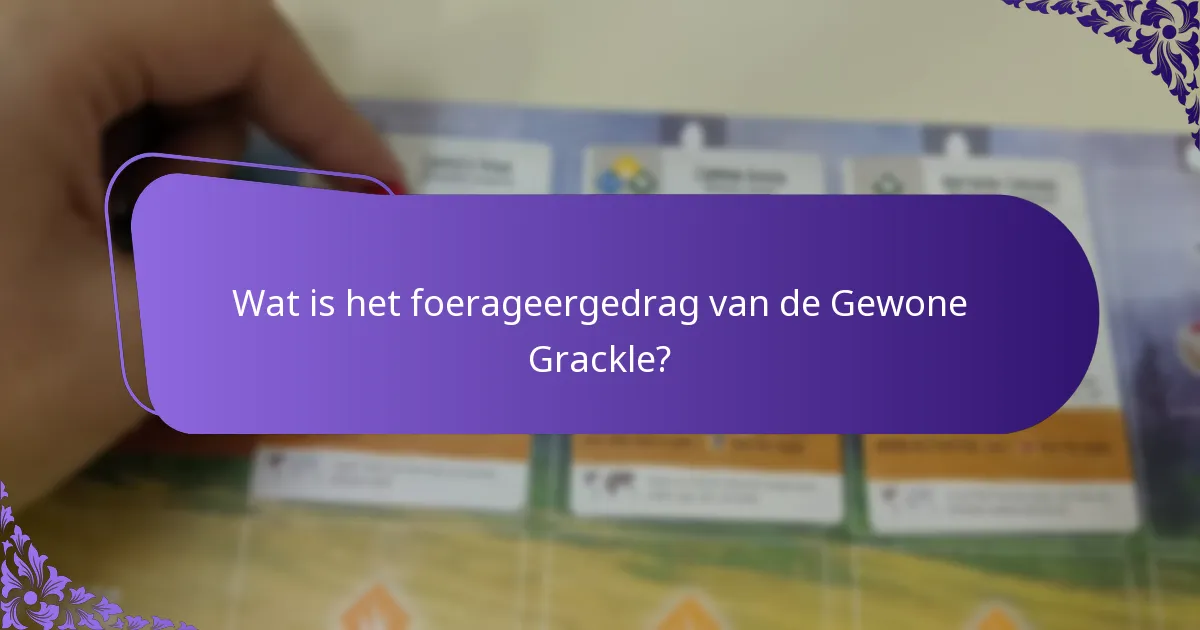 Wat zijn de broedgewoonten van de Gewone Grackle?