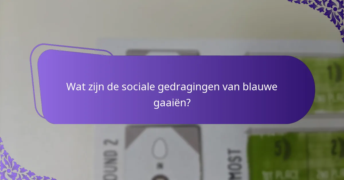 Welke bedreigingen ondervinden blauwe gaaiën in hun habitats?